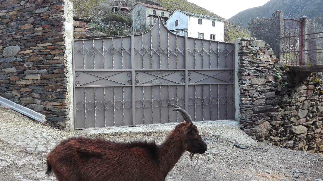 Casa Bernaldo Lejlighed Covas do Monte Eksteriør billede